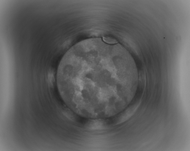 X0000110760127200906291036