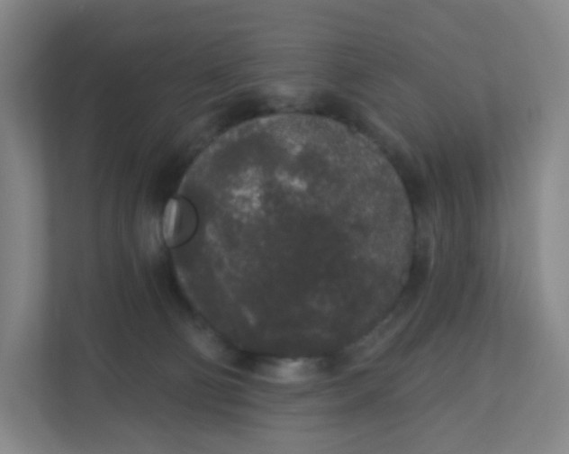 X0000110760130200906291036