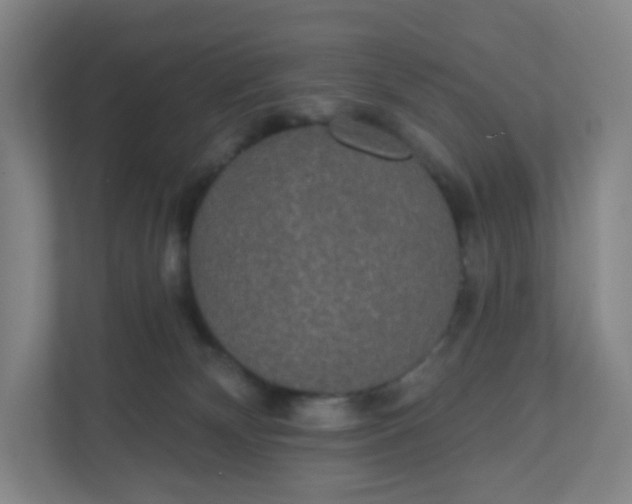 X0000110760132200906291036
