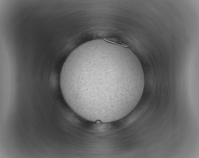 X0000110760135200906291035