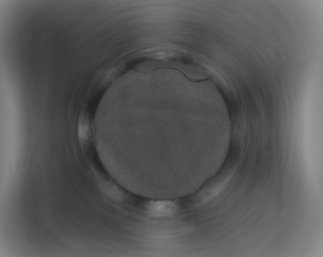 X0000110760137200906291035