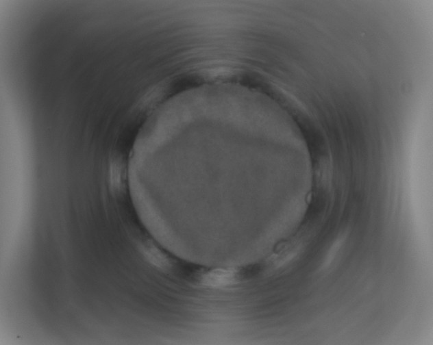 X0000110760138200906291035