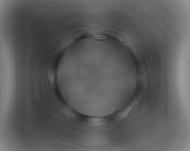 X0000110760139200906291035