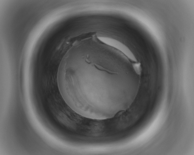 X0000110760143200906291035