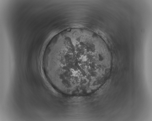 X0000110760145200906291035