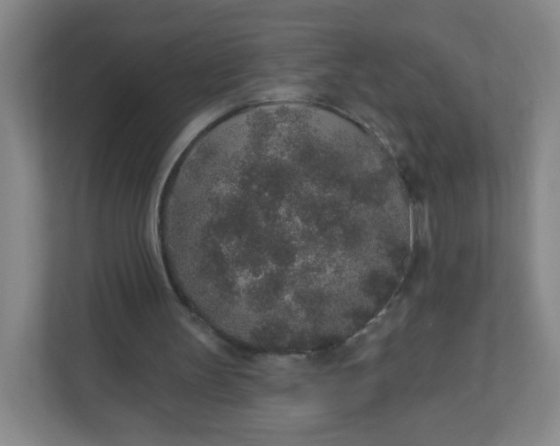 X0000110760147200906291035
