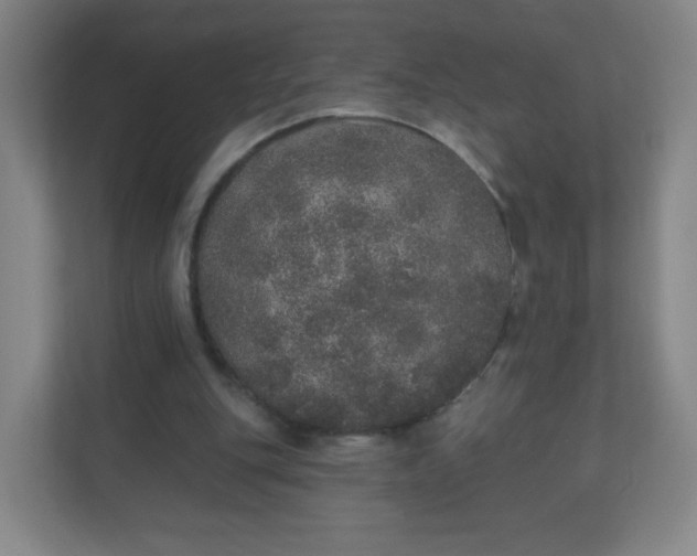 X0000110760151200906291035