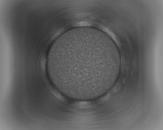 X0000110760153200906291035