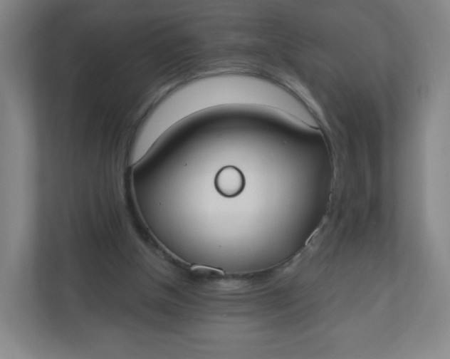 X0000110760154200906291035
