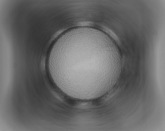 X0000110760155200906291035