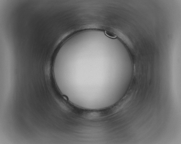 X0000110760156200906291035