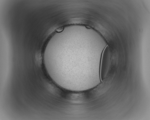 X0000110760160200906291035