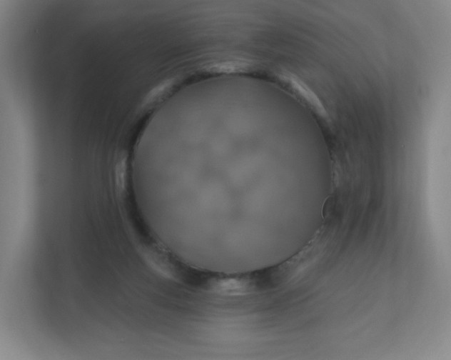 X0000110760163200906291035