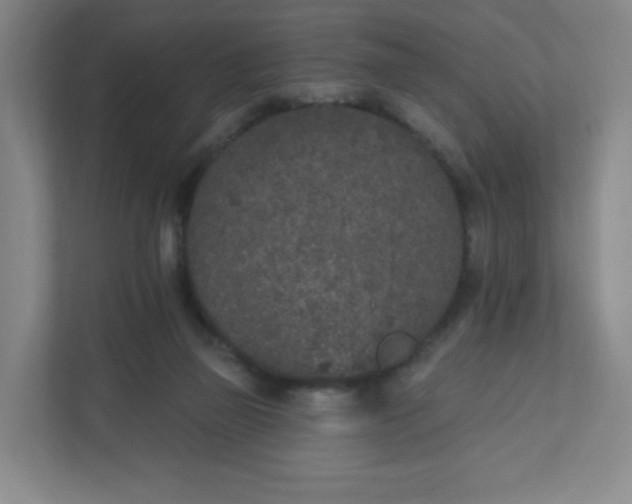 X0000110760165200906291035