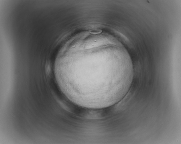 X0000110760166200906291035