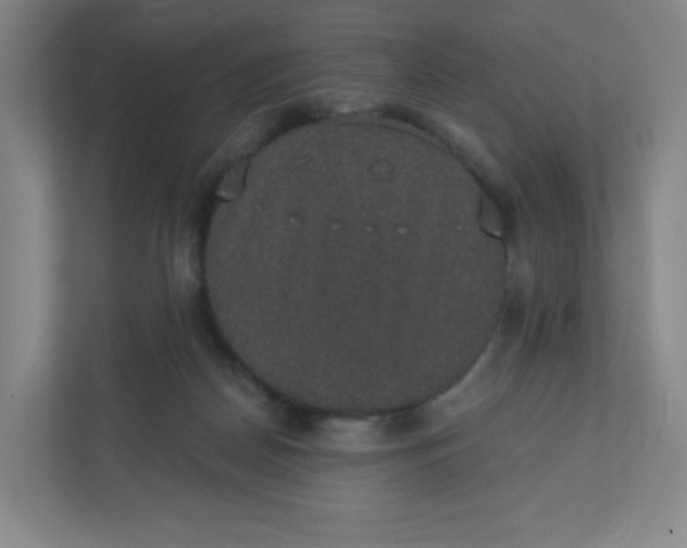 X0000110760170200906291035