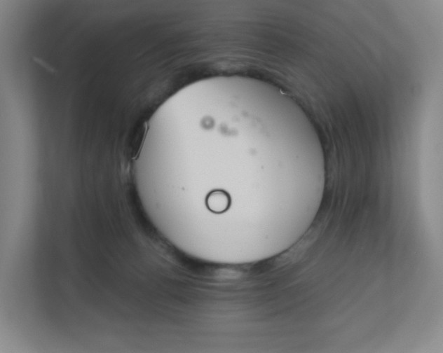 X0000110760176200906291035