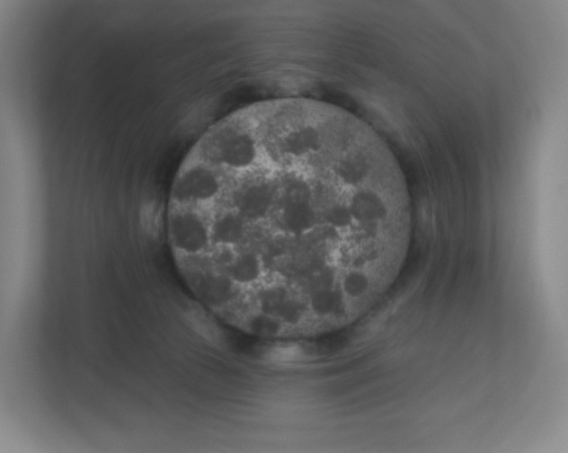 X0000110760177200906291035