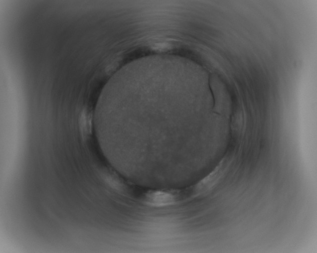 X0000110760180200906291035