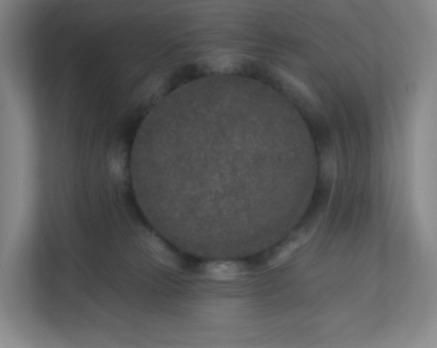 X0000110760181200906291035
