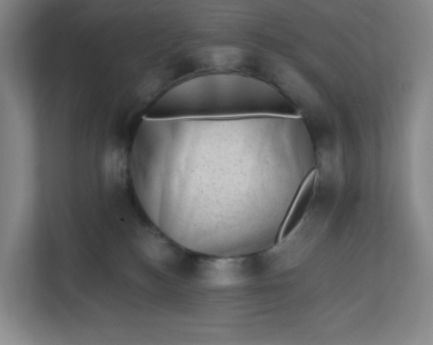 X0000110760184200906291035