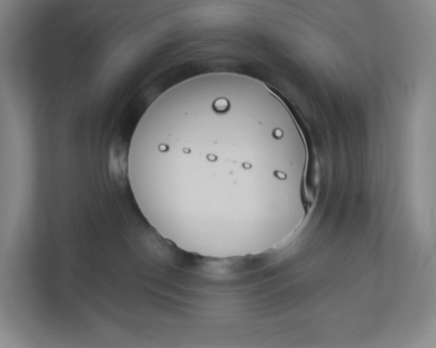 X0000110760190200906291035