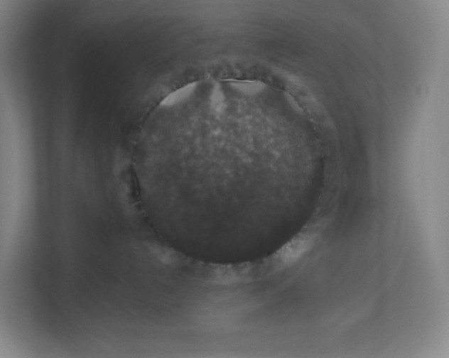 X0000110760192200906291035