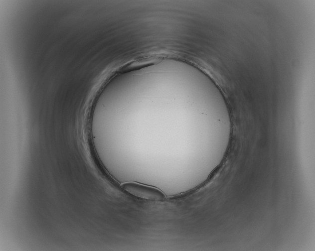 X0000110760193200906291035