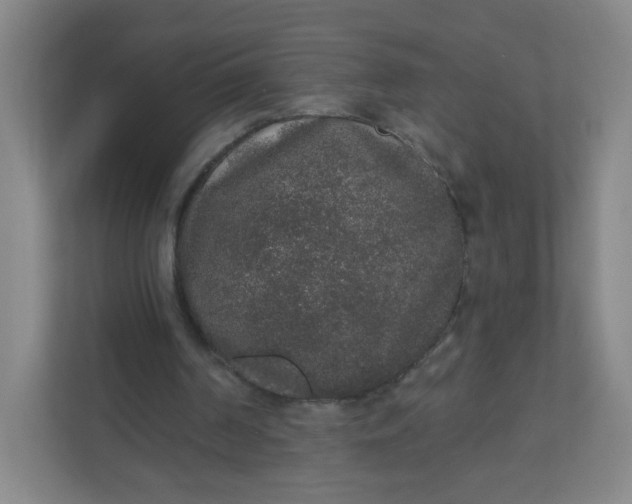 X0000110760194200906291035
