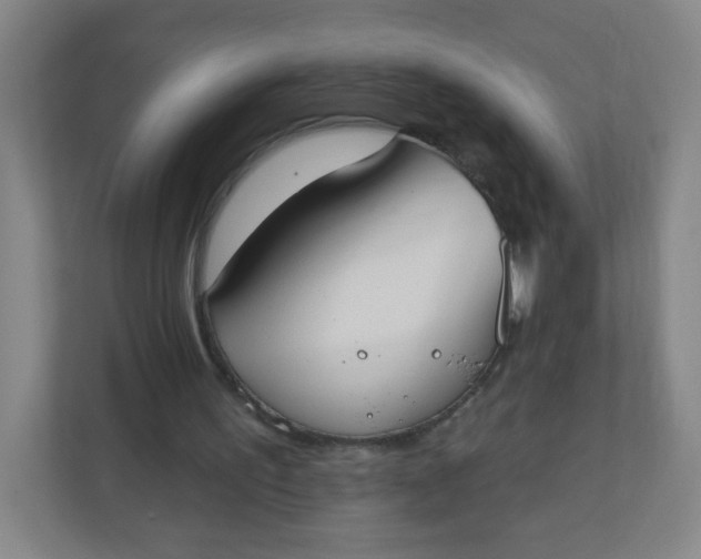 X0000110760195200906291035