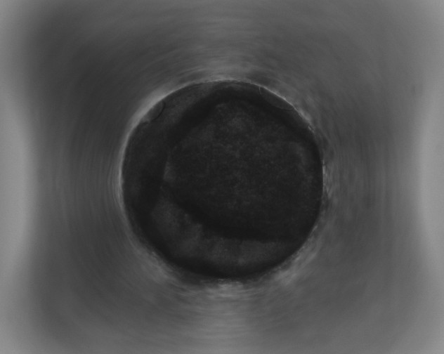 X0000110760196200906291035