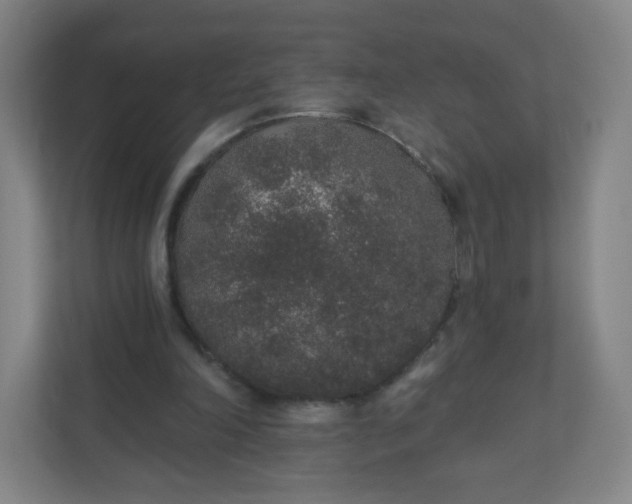 X0000110760198200906291035
