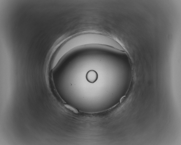 X0000110760199200906291035