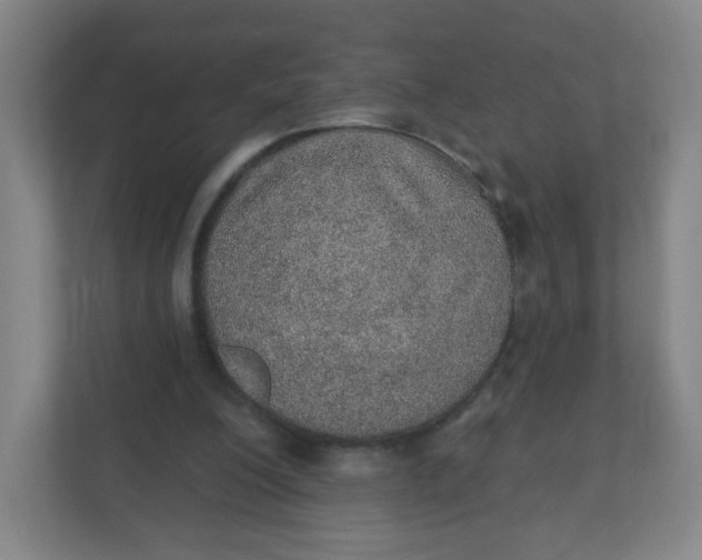 X0000110760200200906291035