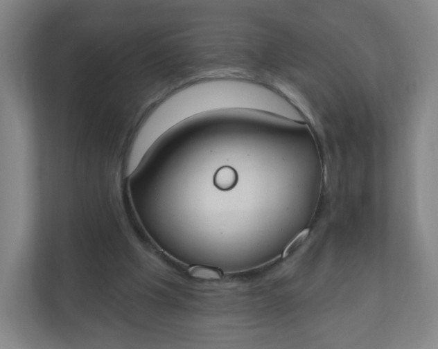 X0000110760201200906291035
