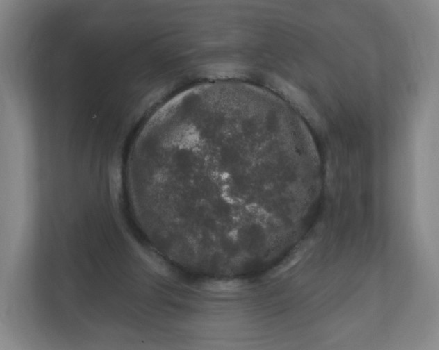 X0000110760202200906291035