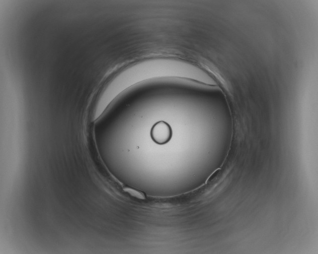 X0000110760203200906291035