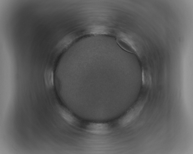X0000110760205200906291035