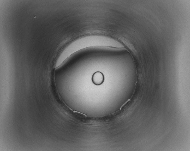X0000110760207200906291035