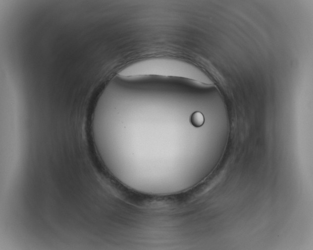 X0000110760209200906291035
