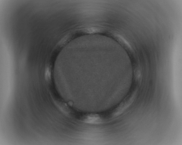 X0000110760214200906291034