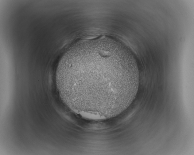 X0000110760215200906291034