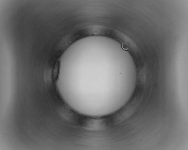 X0000110760217200906291034