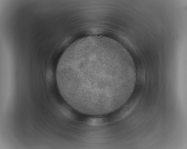 X0000110760220200906291034