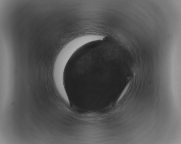 X0000110760223200906291034