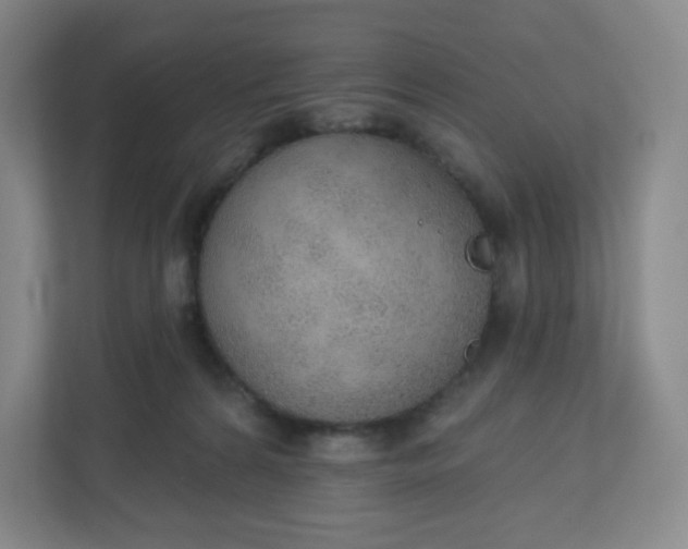 X0000110760224200906291034