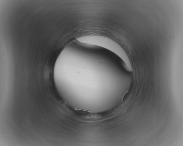 X0000110760225200906291034