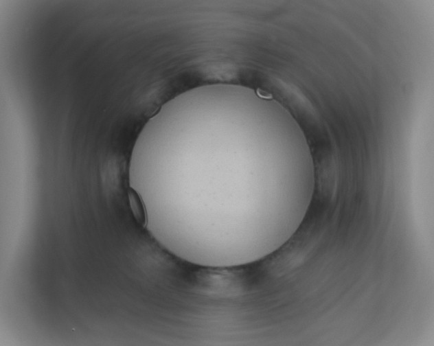 X0000110760229200906291034