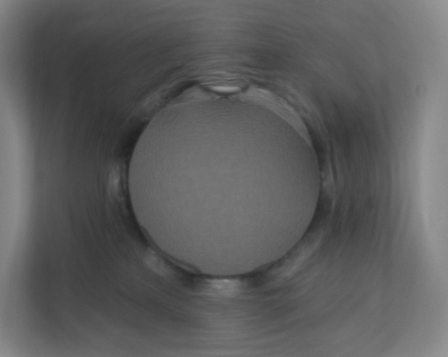 X0000110760233200906291034