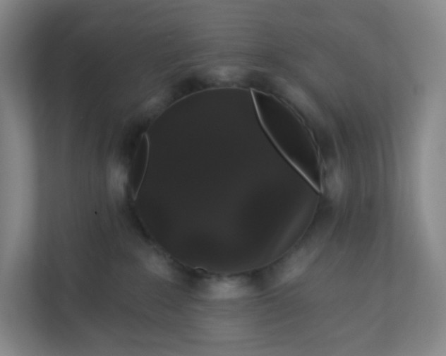 X0000110760235200906291034